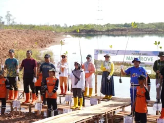 Hari Mangrove Sedunia 2026, Tanah Bumbu Tanam Mangrove untuk Generasi Mendatang